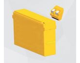 Yellow RTM 12-210PLFT (YPL, 20 лет)