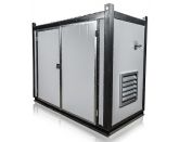 ТСС АД-24С-Т400-2РНМ11 в контейнере с АВР